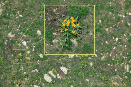 Digital Cameras Aid Research Image